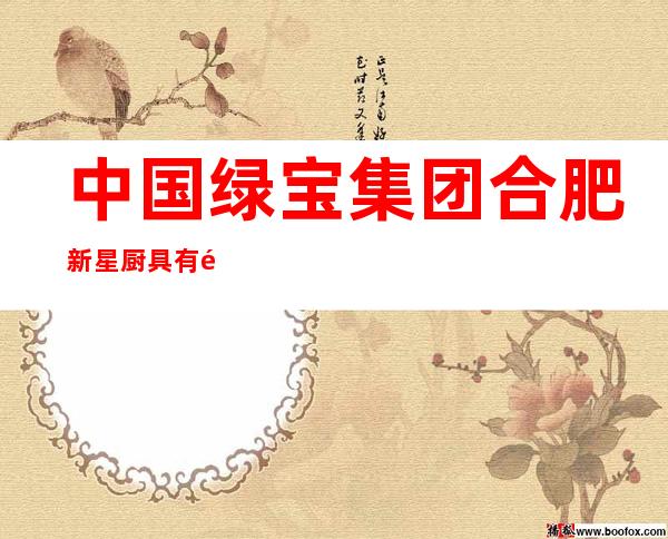 中国绿宝集团 合肥新星厨具有限公司